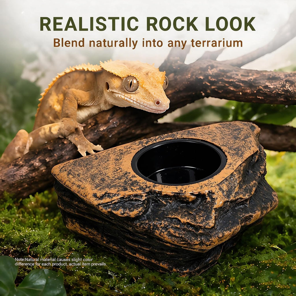 Magnetic Crested Gecko Feeding Ledge with Tongs, 2-Cup Rock Feeder