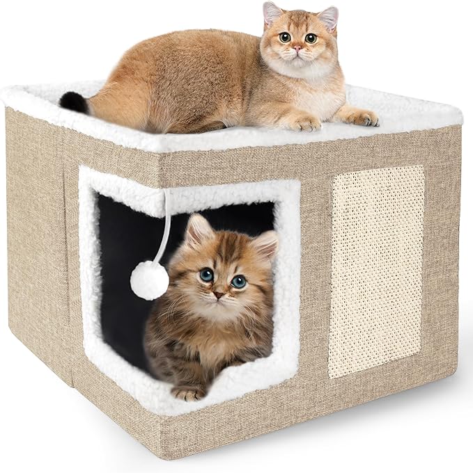 Cat Houses for Indoor Cats by Loyareal