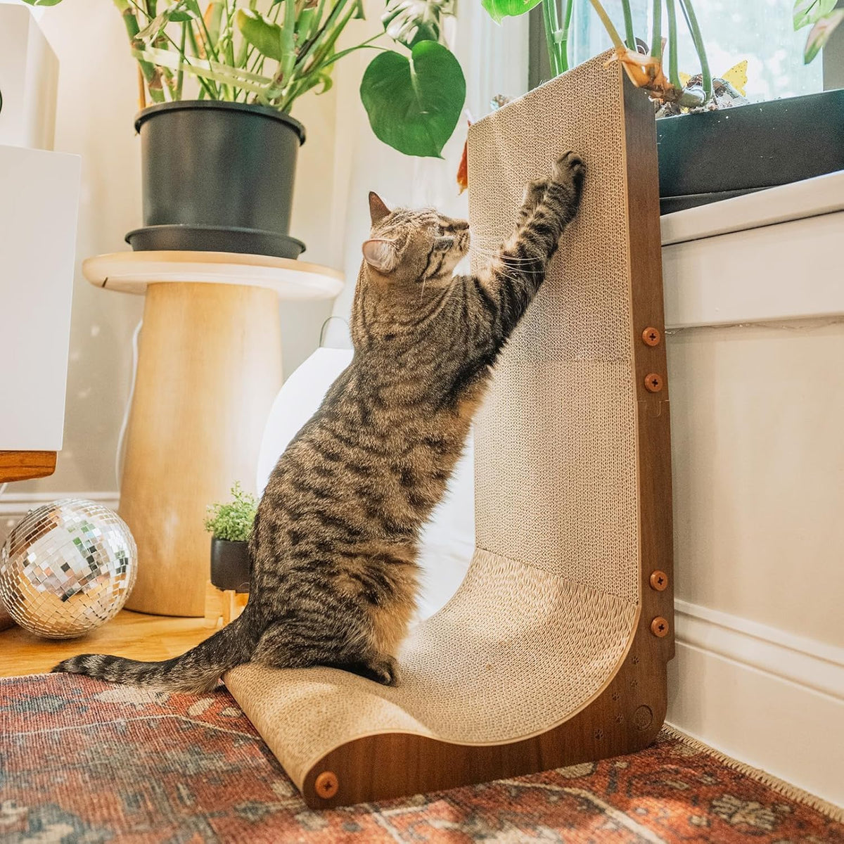 Necoichi Cardboard Cat Scratcher Wall for Indoor Cats - Cat Scratching Board, Cat Scratch Pad Lounger with Reversible Usability and Extra Comfort for Lounge, Curved (Oak, Large)