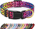 Reflective Dog Collar for Small Dogs Cats, Cute Leopard Style Adjustable by TMOODEL