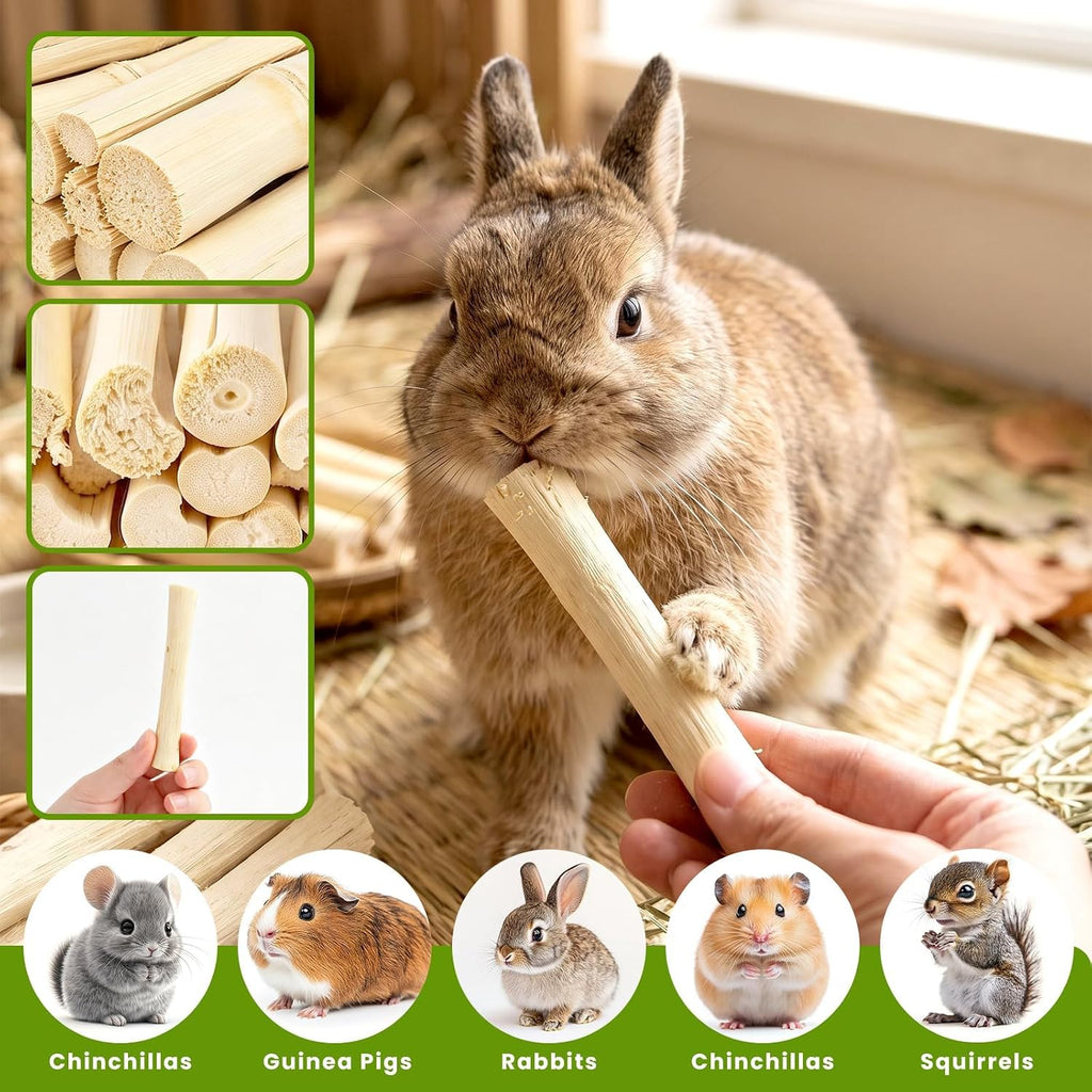 2.5 LB Sweet Bamboo Sticks Bulk Pack for Rabbits Small Animals