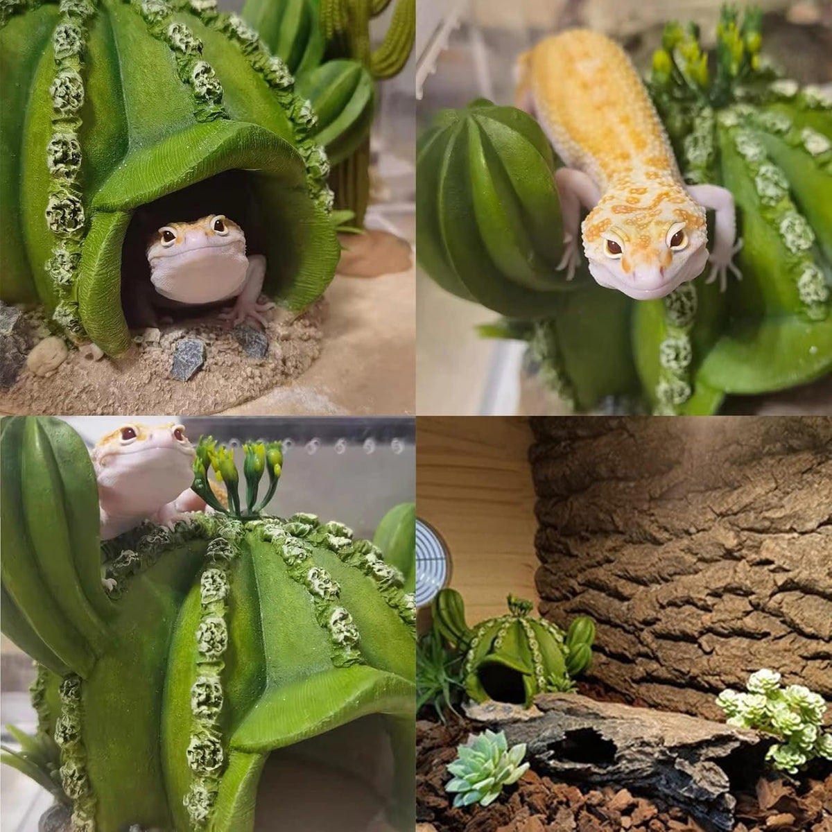 kathson Reptile Tank Decor Lizard Hide and Cave Plants Terrarium Decorations Resin Cactus Desert Aquarium Tank Habitat Accessories for Bearded Dragon Chameleon Leopard Gecko Snake Fish (Ball Cactus)