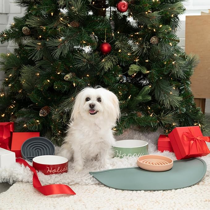 Should We Go -Waterproof Silicone Pet Food Mat - Image 7