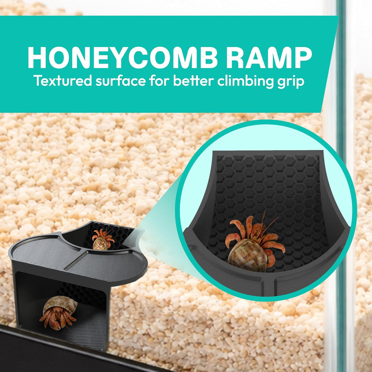 Hermit Crab Habitat Shelter with 2 Deep Dishes & Honeycomb Ramp - 2-in-1 Corner Hideout and Pool Station for Hermit Crabs, Isopods, and Reptiles - Made in USA (Black)