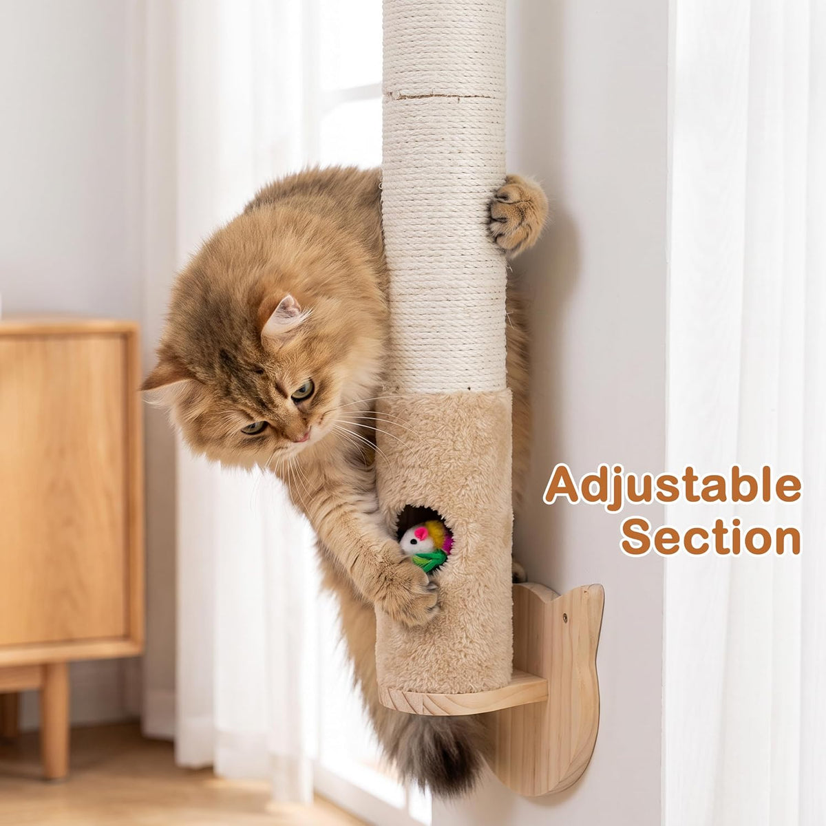 Cat Wall Climbing Post, 60" Tall Cat Climbing Wall Systems for Large Cats
