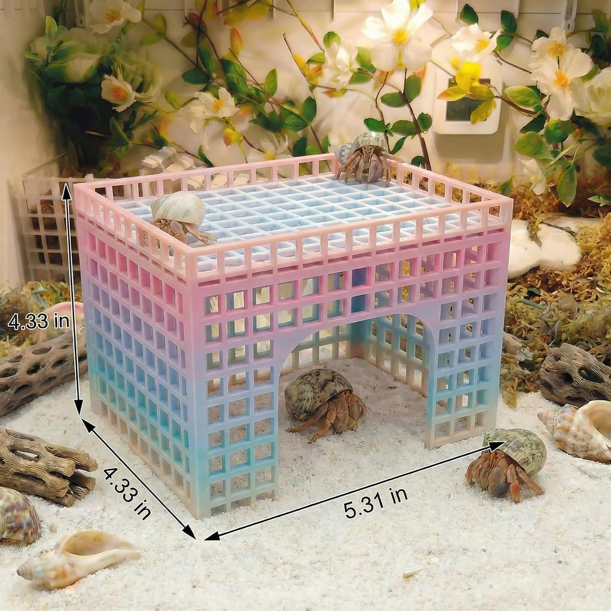 Hermit Crab Climbing Hideout, Stackable Platform Habitat Accessory