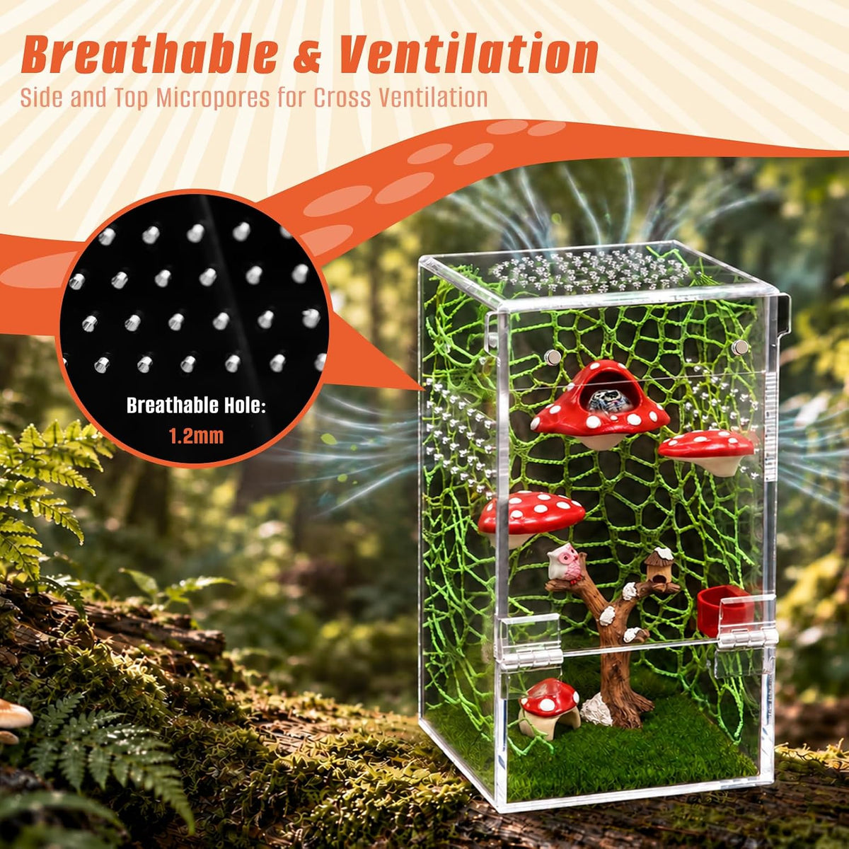 AZV Jumping Spider Enclosure Kit,Pre-Assembled 5 x 5 x 8 in Acrylic Habitat
