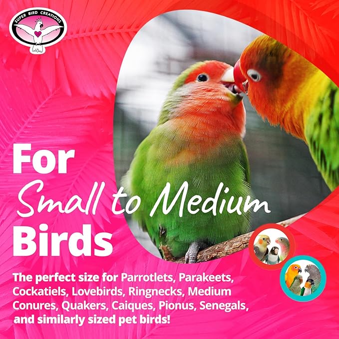 Super Bird Creations Mini Starburst Bird Toy - Image 2