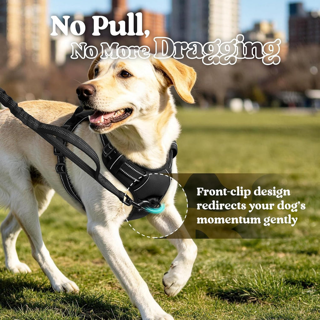 rabbitgoo Dog Harness, No Pull Medium Sized with 2 Leash Clips, Pet Vest