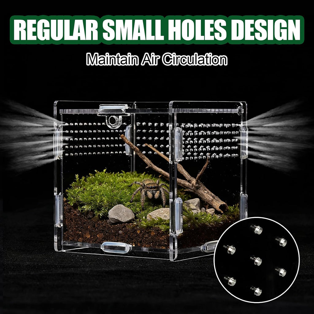 Jumping Spider Small Terrarium 3.5×3.5×9.5 Inch Acrylic Enclosure