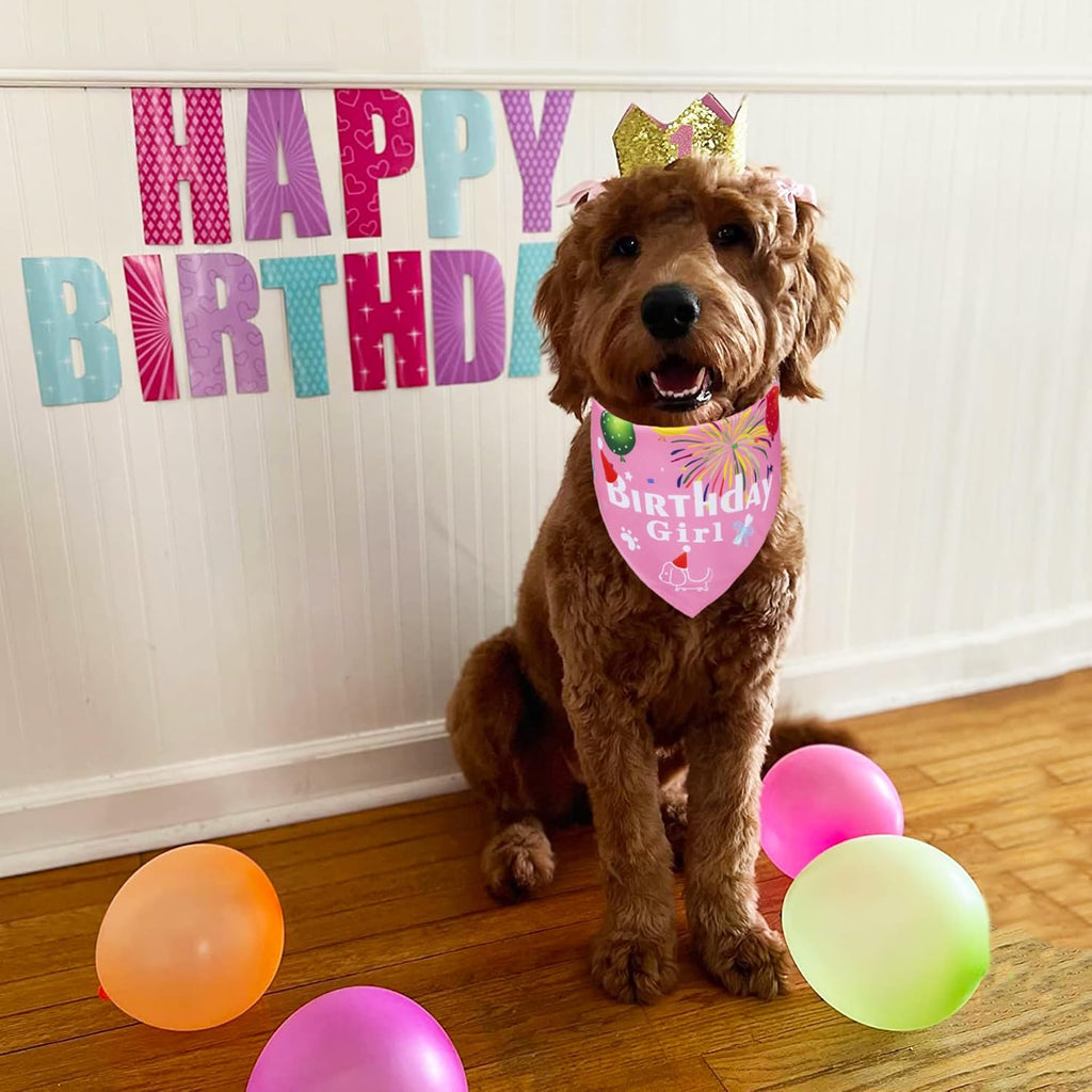 ADOGGYGO Dog Birthday Girl Bandana, Pink Birthday Hat, Age Numbers, Small