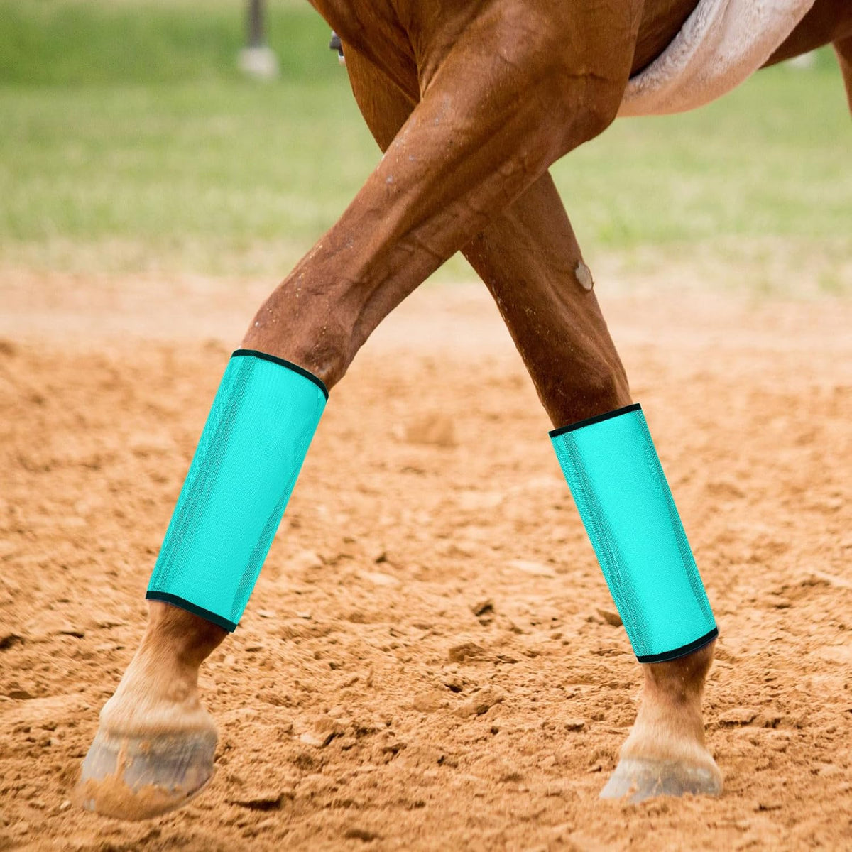 Sweetude16 Pcs Mesh Fly Boot for Horse, Orange, Pink, Blue and Dutch Green,