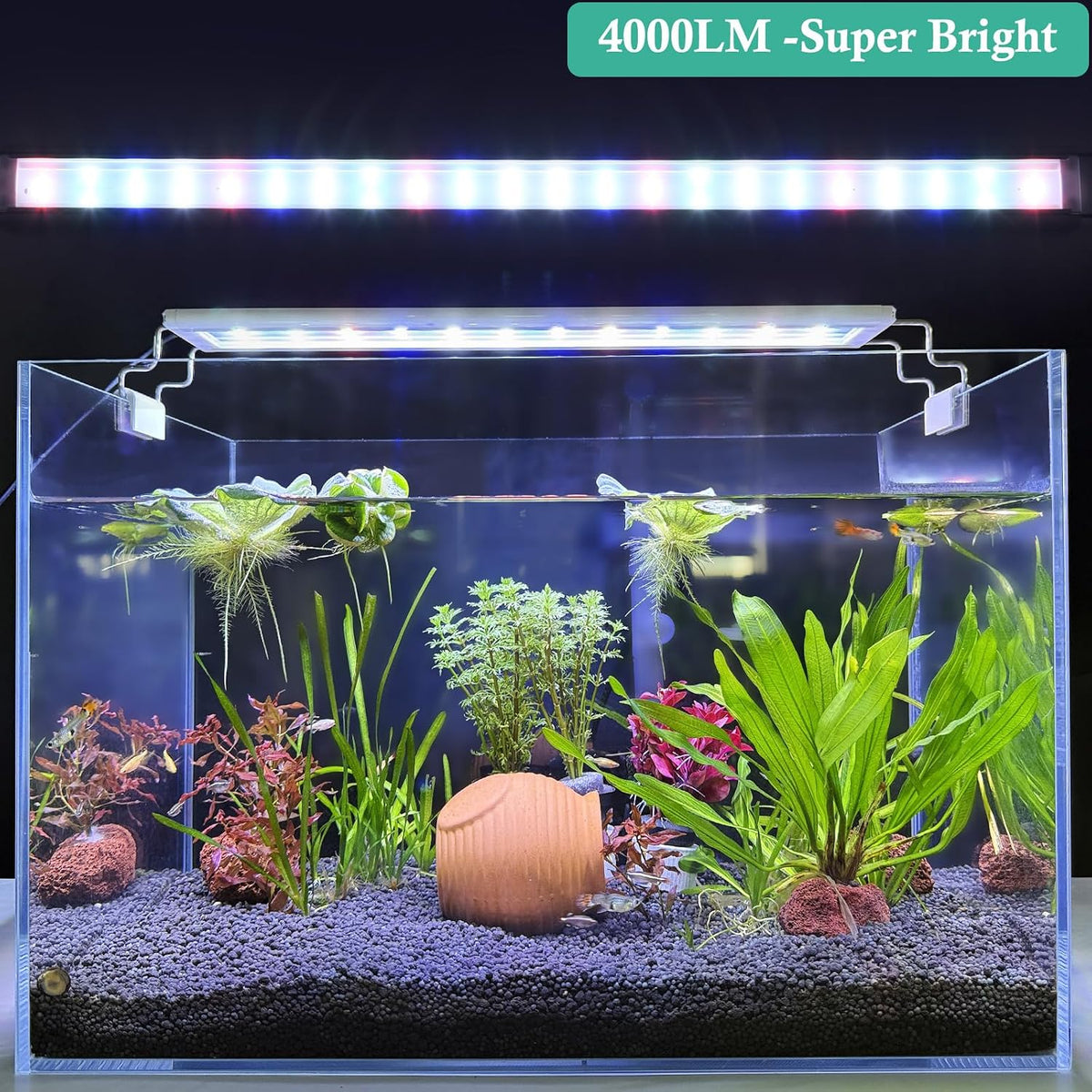 HITOP Full Spectrum LED Aquarium Light 32-36" Classic Fish Tank Light with Timer, Aquarium Plant Light with Stable Extendable Brackets