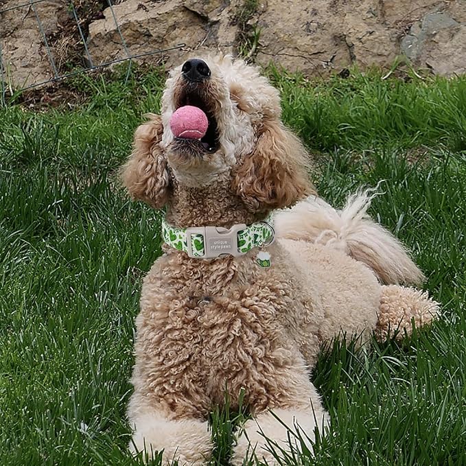 Unique style paws St. Patrick's Day Dog Collar Plastic Buckle Collar - Image 4