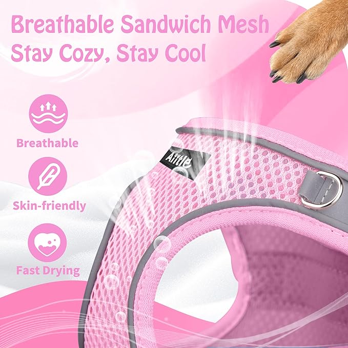 AIITLE Step in Dog Harness and Leash Set - Image 6