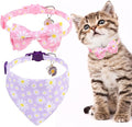 EXPAWLORER Cute Cat Collar Breakaway by EXPAWLORER