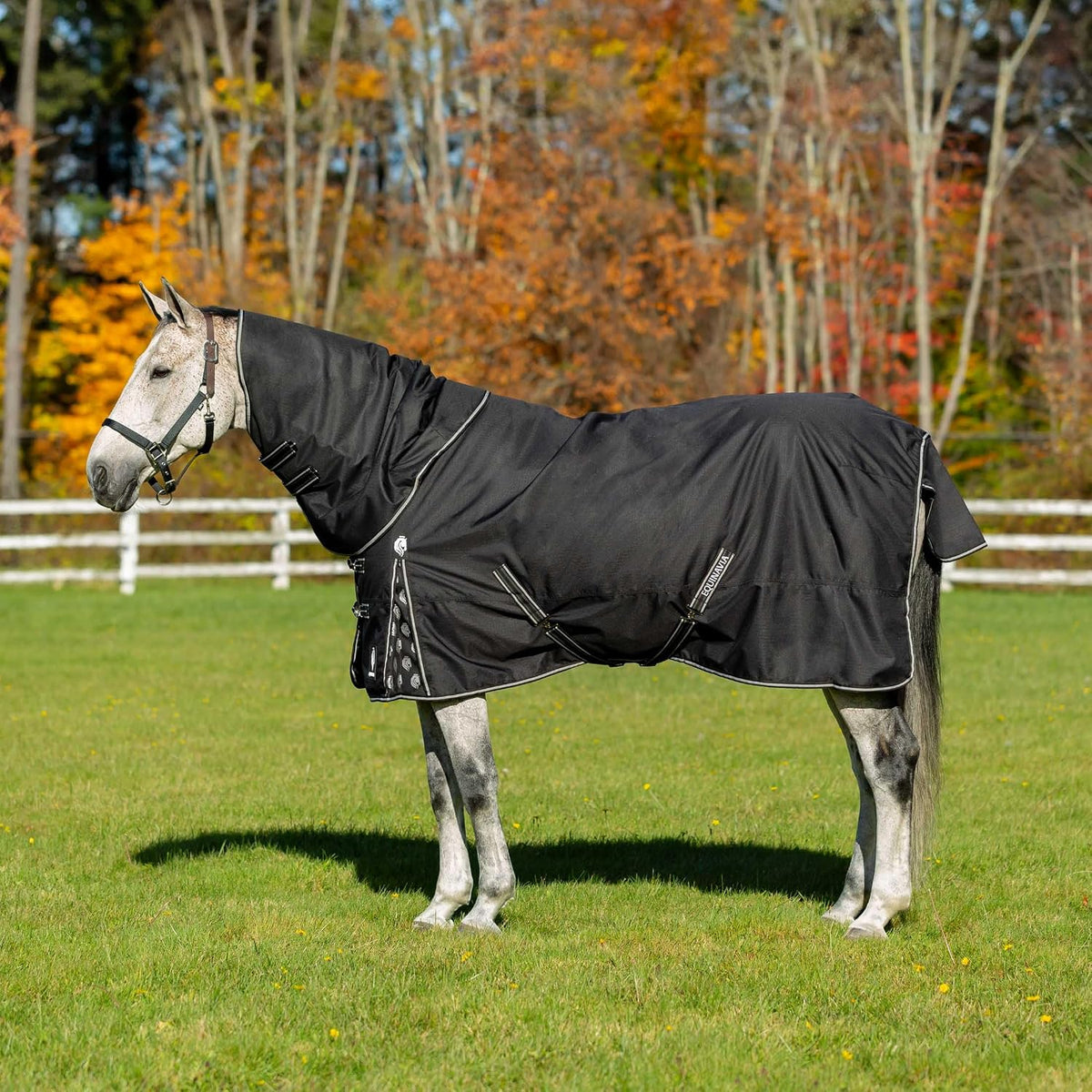 Equinavia Norse Lightweight Horse Turnout Blanket 100g, 600D Ripstop Shell