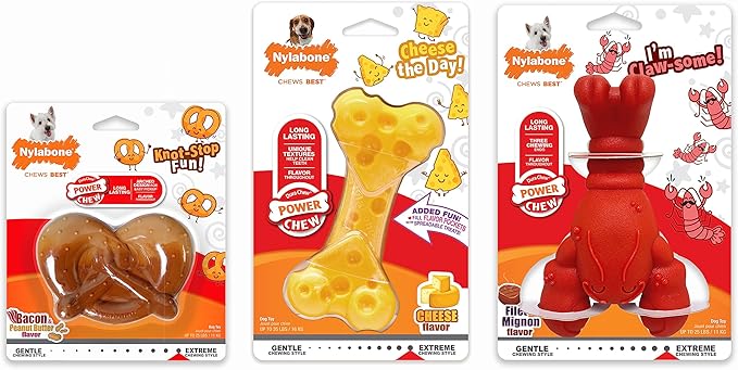 Nylabone Power Chew Toy Bundle, Cute Dog Toys - Image 13