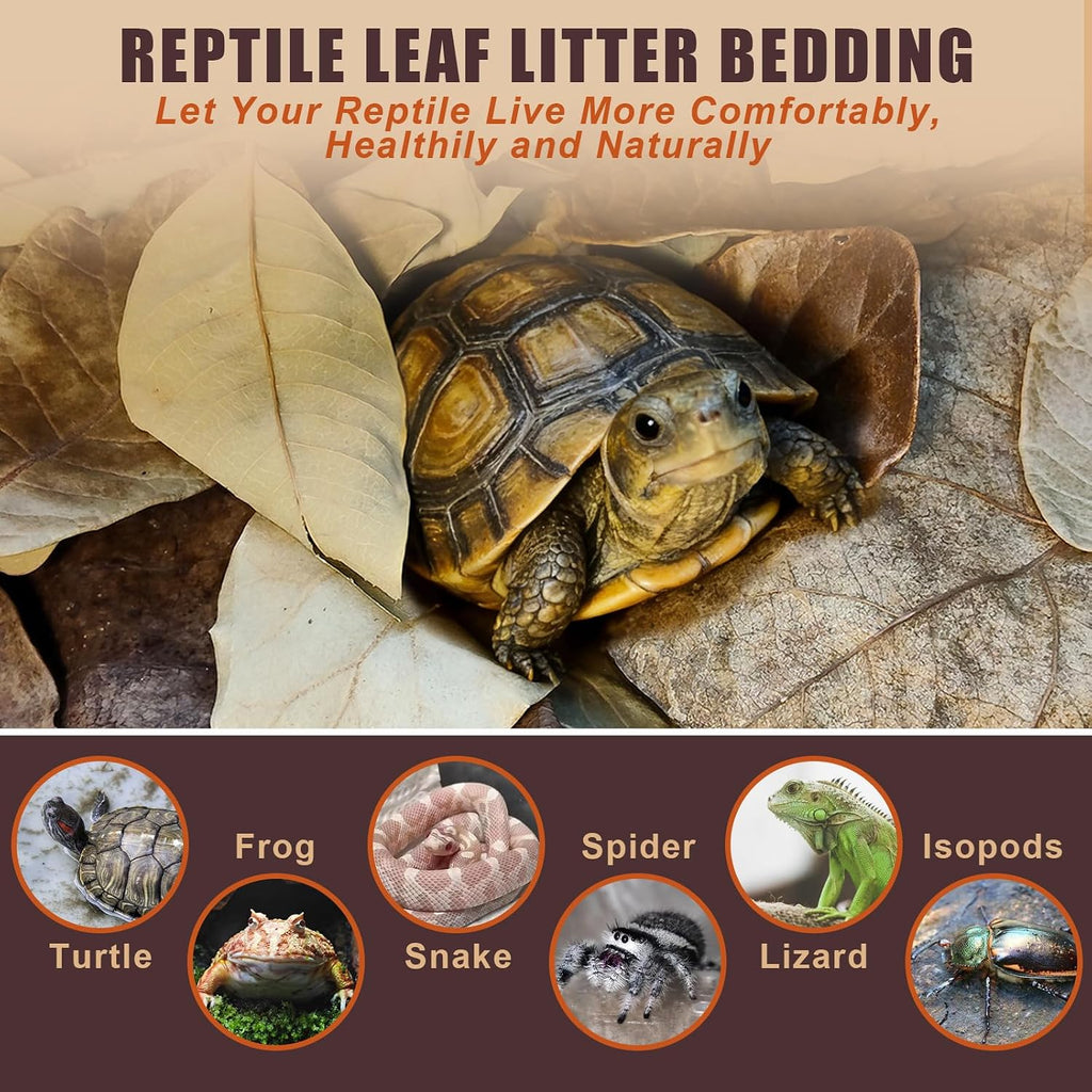 120PCS Dry Oak Leaf Litter Substrate Terrarium Bedding for Reptiles