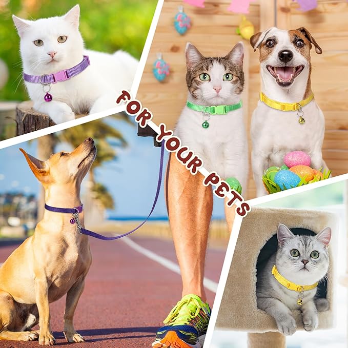 Amylove 48 Pcs Dog Collar and Leash Set, Polypropylene Adjustable Puppy Collars - Image 7