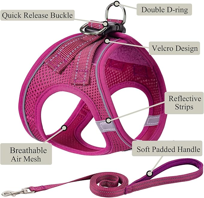 Dog Harness with Leash Set, No Pull Adjustable Reflective Step-in Puppy Pet - Image 2