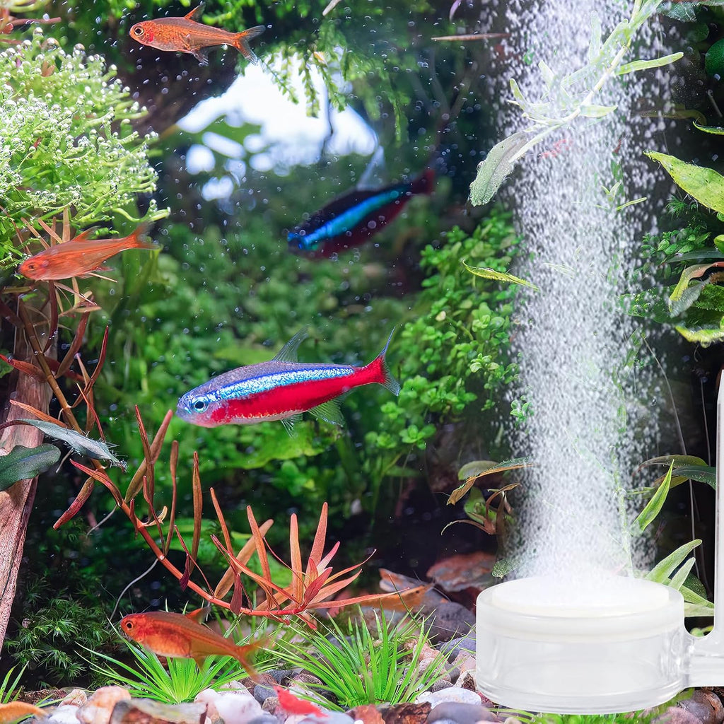 Aquarium Air Refiner Kit, Low-Pressure Bubbler for Aquarium Fish Tank with Control Valve and Suckers Oxygen Diffuser Makes Super Tiny Bubbles for Fish Tank and Hydroponic