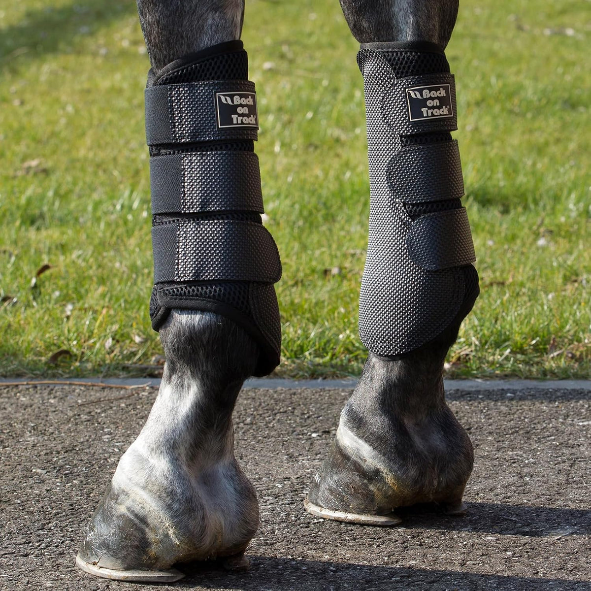 Back on Track Horse 3D Mesh Splint (Brush) Boots