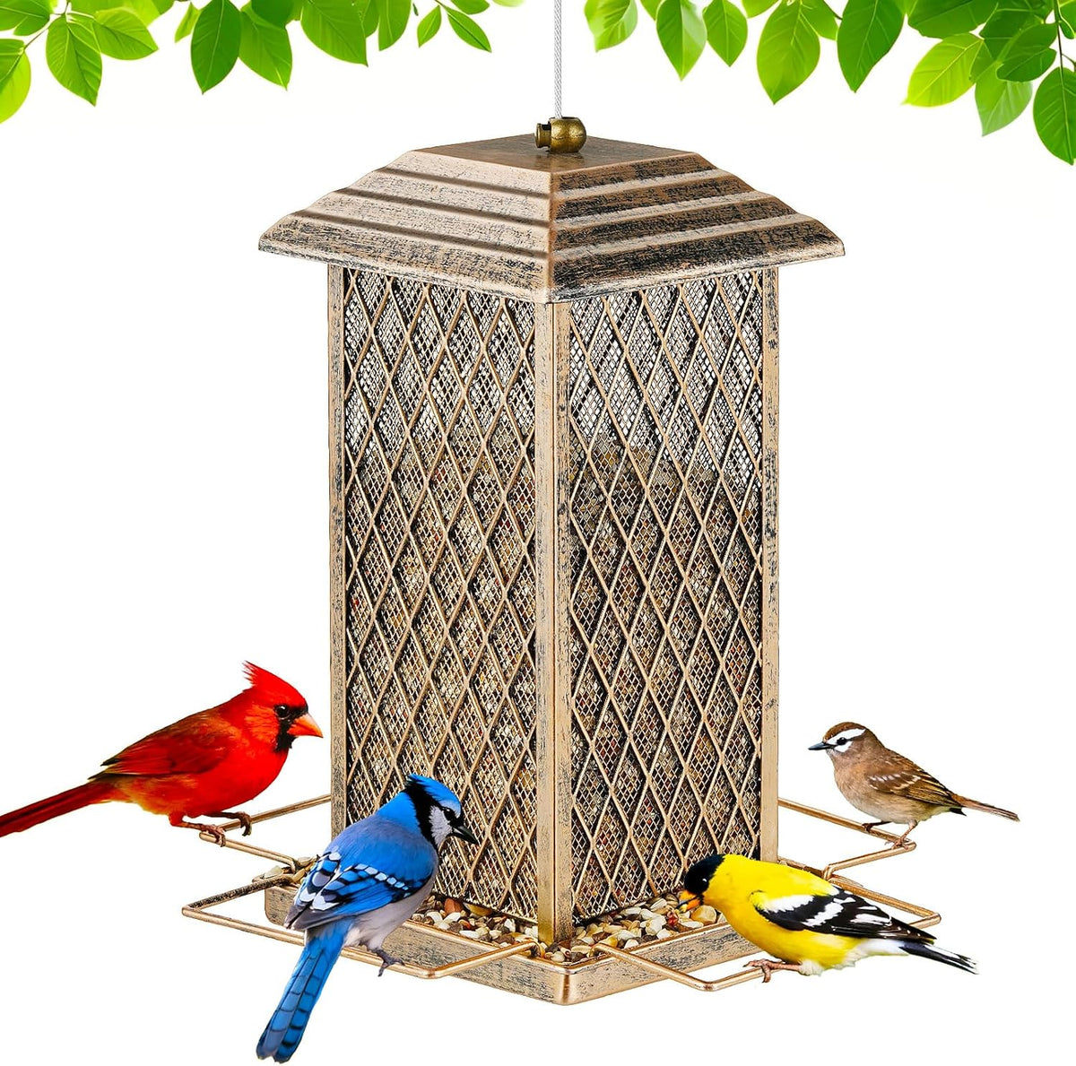 Bird Feeder, 6LB Large Capacity Metal Bird Feeders for Outdoor Hanging
