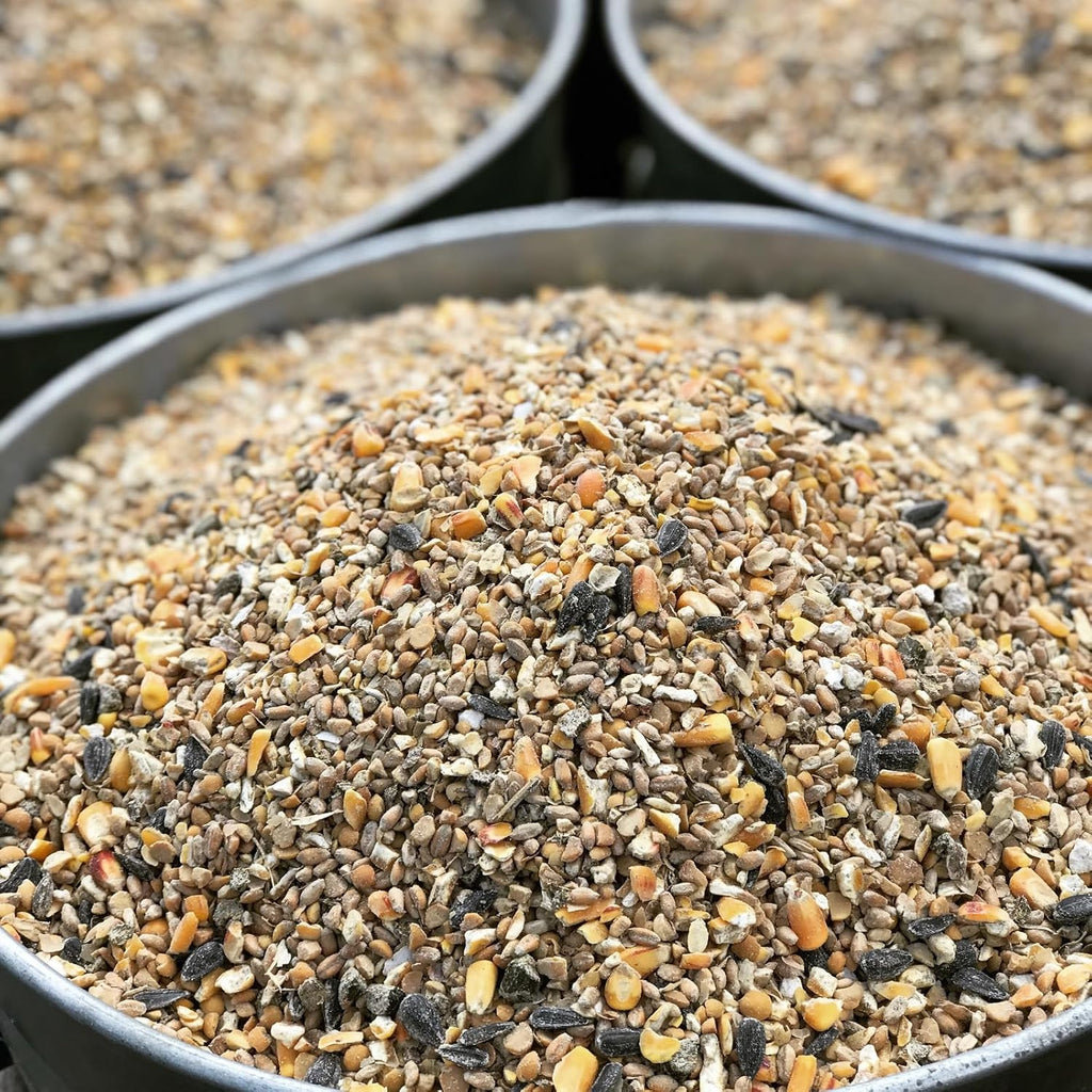 Non-GMO Whole Grain Layer Blend 16% - Chicken Feed for Laying Hens and Ducks - Includes Essential Oils, Herbs, Oyster Shells, Vital Minerals, and Omega 3, 40lb
