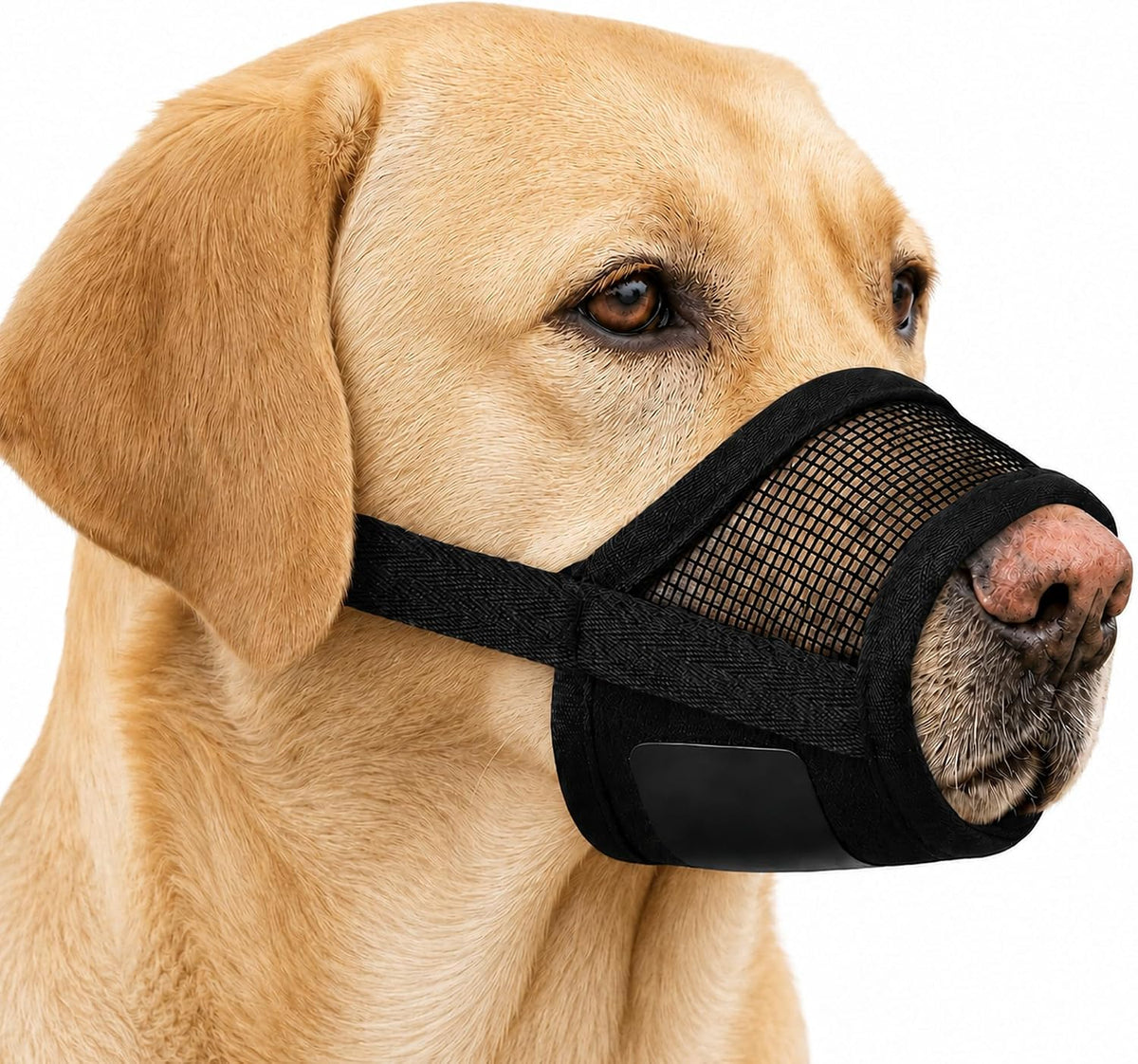 Dog Muzzle for Medium Dogs, Air Mesh Breathable, Black, M