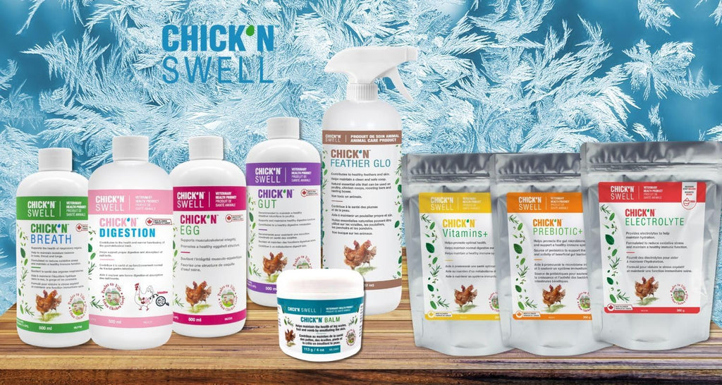 Premium Poultry Balm for Optimal Care and Healing-Chick'n Balm from Chick'n Swell - Legs- Wounds and Combs - with Healing Essential Oils and Sulfur, 4 Oz (113g).
