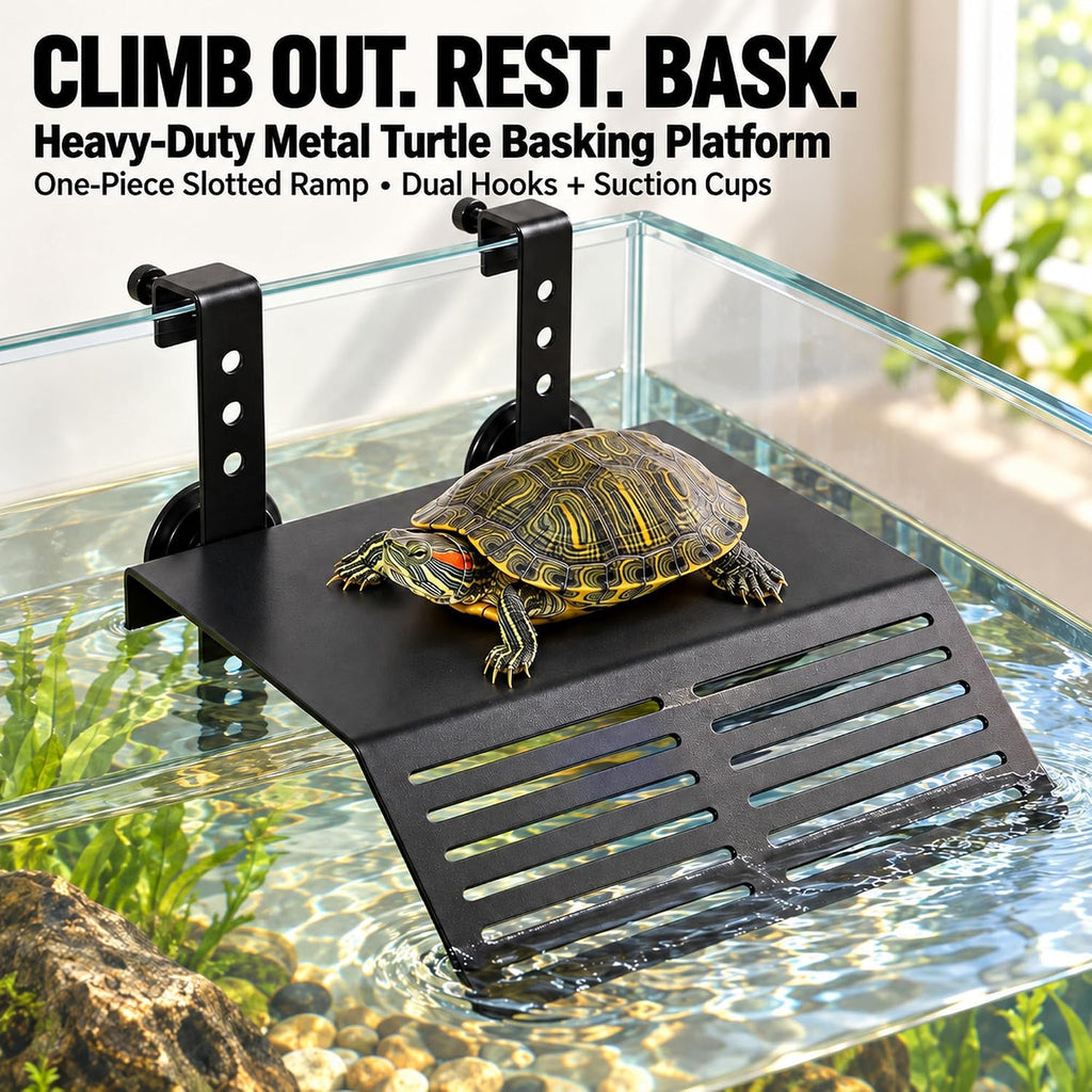 Turtle Basking Platform Large, 7.9 x 7.9 x 1.6 In Heavy Duty Dock