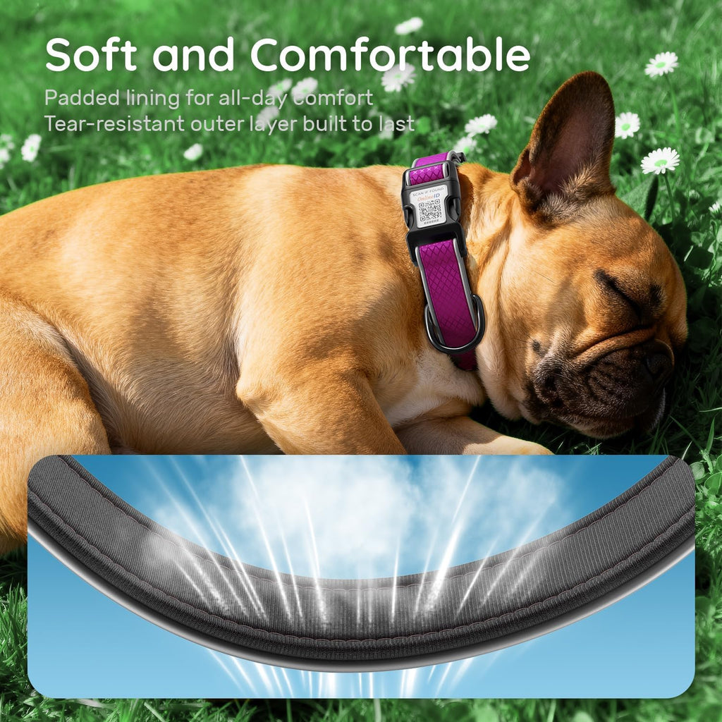 Personalized Dog Collar with QR Code Dog Tag, Purple,