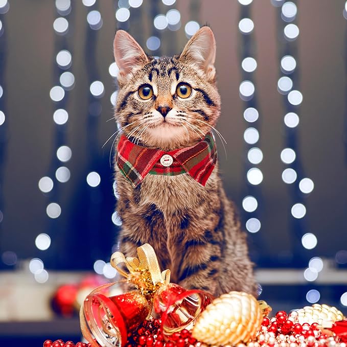 ADOGGYGO Christmas Cat Collars Breakaway - Image 4