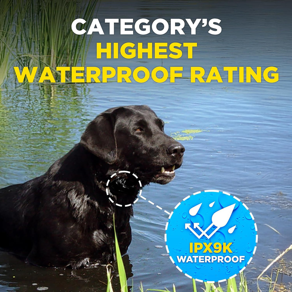 Dogtra Smart NOBARK Detects Whining and Barking, 33 ft Range App for Notifications, E-Collar, Behavior Report, Waterproof IPX9K, Compact Size for 10 lb Dogs, Triple Detection Accuracy
