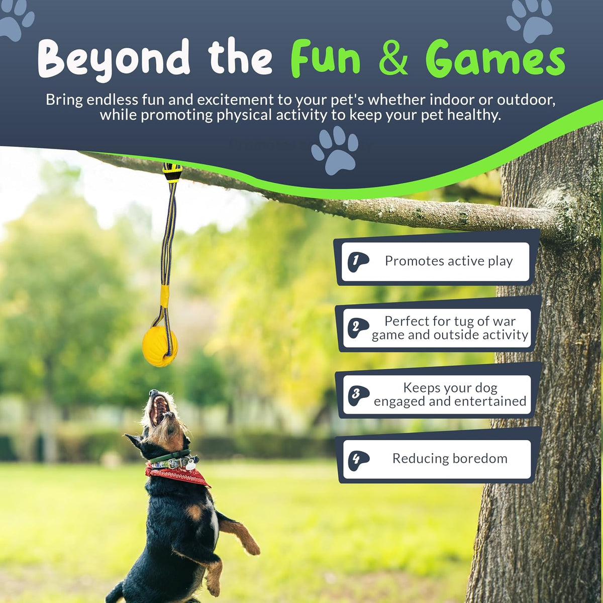 Bungee Tug Toy for Dogs - Outdoor Tree Rope Tether Tug 5 Pack - Spring Pole Dog Toy for Small to Large Breeds - Backyard Flirt Pole Exercise Toy