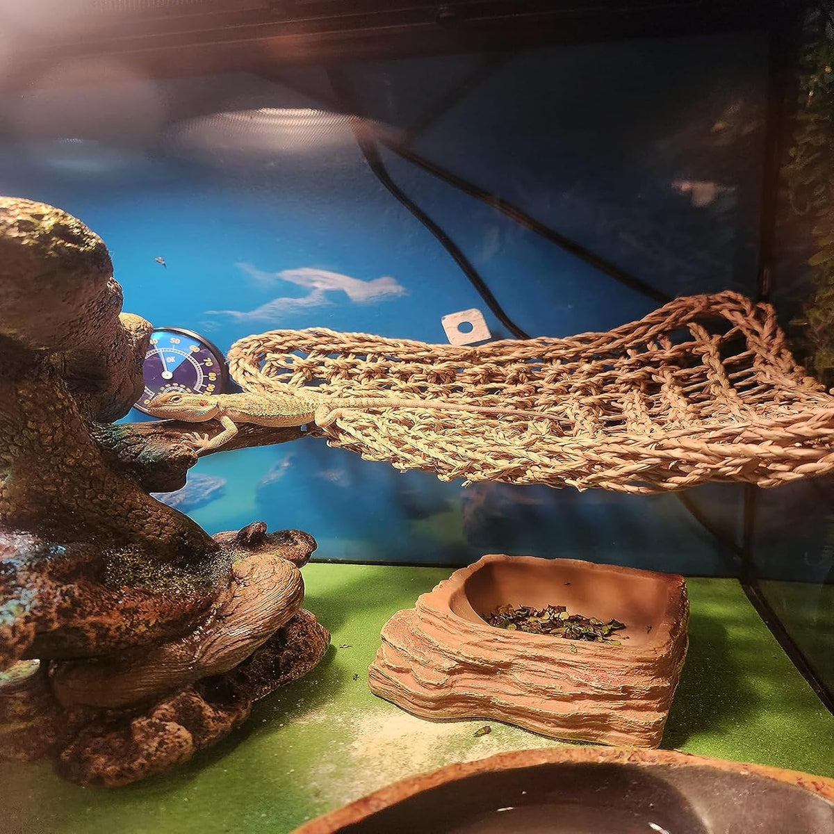 Tank Accessories for Bearded Dragon Include Resin Classical Castle Reptile Hammocks Climb Habitat Hanging Jungle Vines Flexible Leaves Climbing Decor for Chameleon Lizard Gecko Spider(6 PCS)