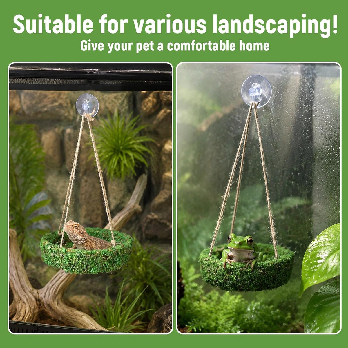Frog Reptiles Cave Hide, Green Lizard Hideout with Safe Shelter
