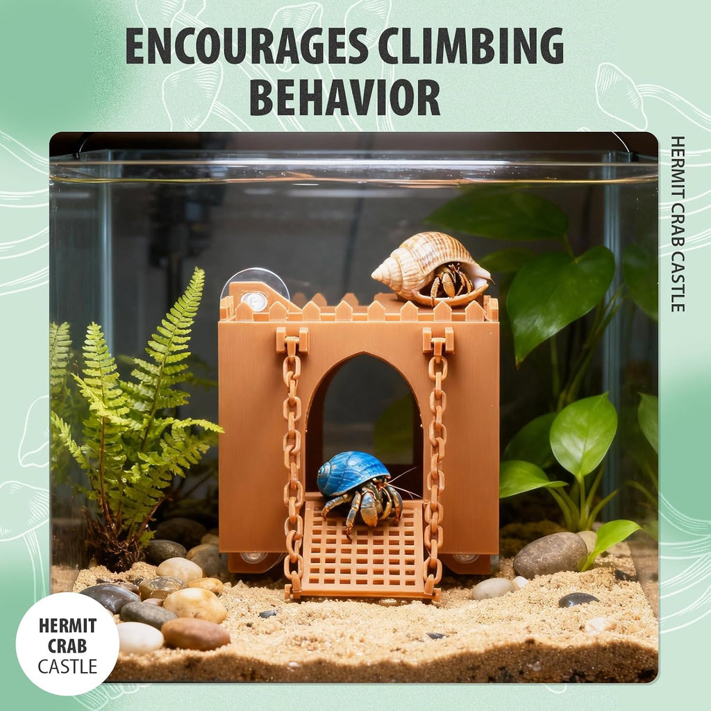 Hermit Crab Climbing Wall Foraging Cave Hermit Crab Accessories Climbing Toy Viewing Moist Hideaway Tank Enrichment Decor for Crabs Parrots Lizards Chameleon Reptiles