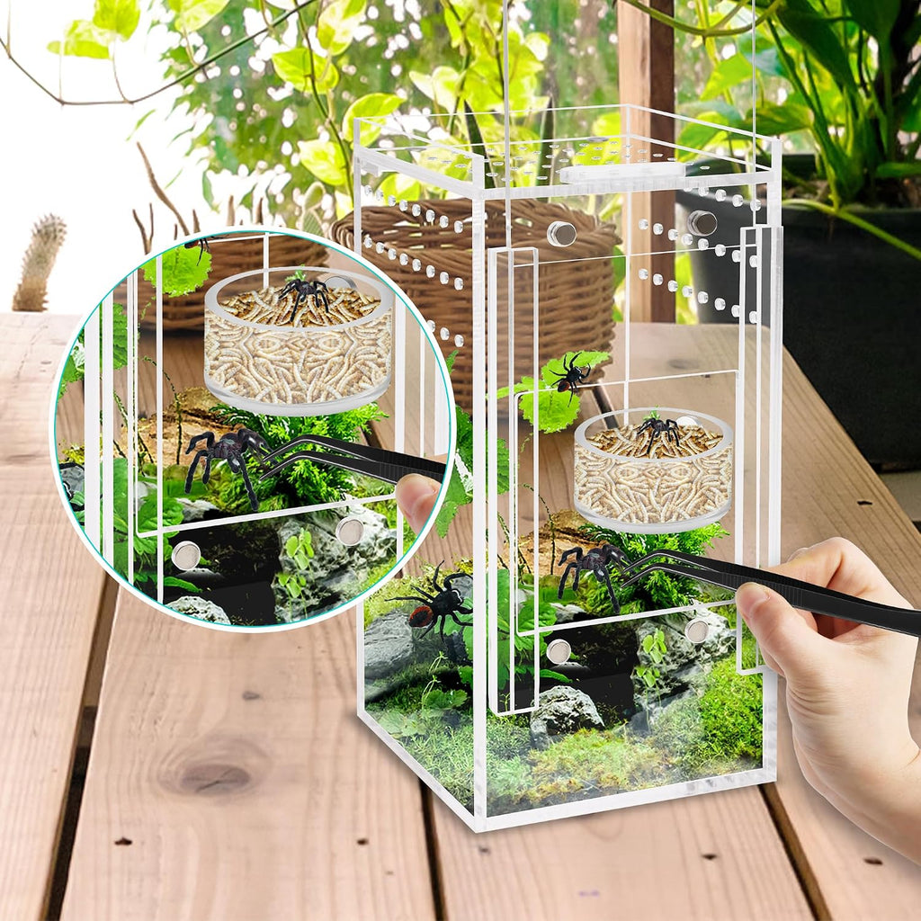 Jumping Spider Magnetic Water Feeding Dish for Small Pets