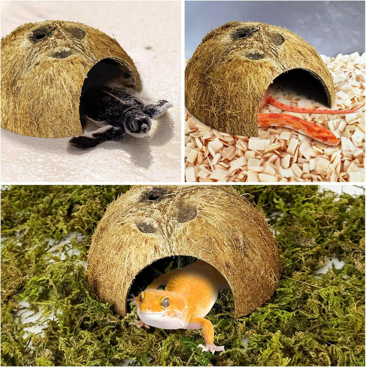 Hamiledyi Coconut Hide for Reptiles, Natural Coco Hut for Hermit Crabs