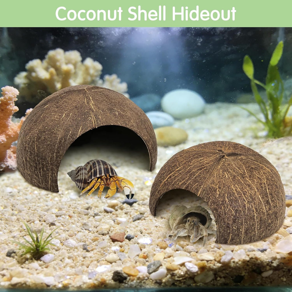 kathson Hermit Crab Accessories,2 Pcs Hermit Crab Coconut hut and 8 Pcs Assorted Turbo Shells, Natural Hermit Crab Habitat Decoration Tank Supplies Hideout