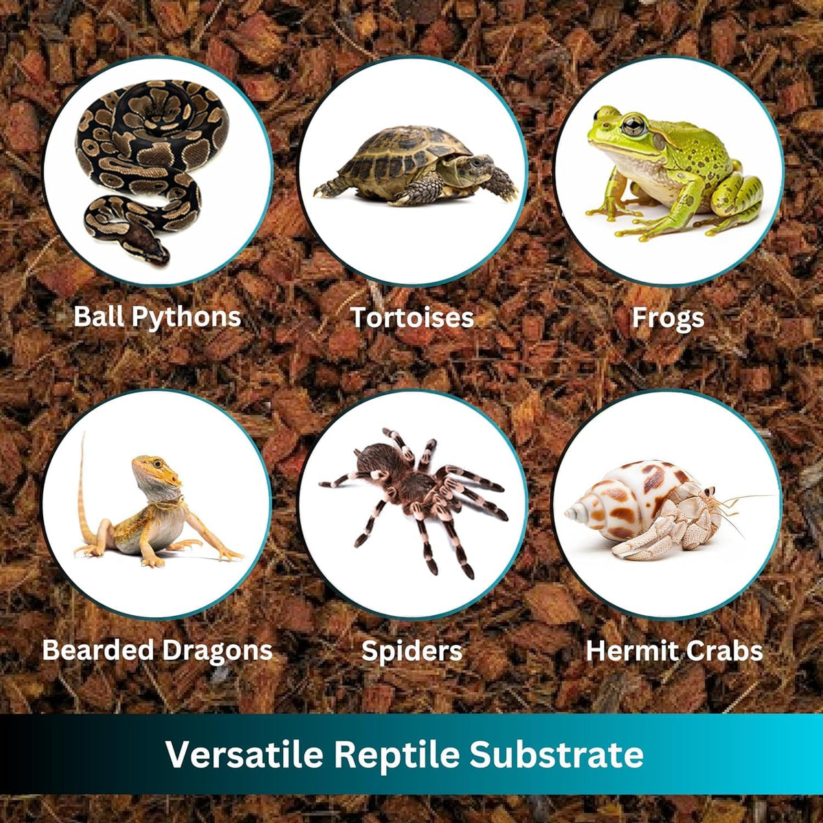 Premium Coconut Chip Substrate for Reptiles – 10 LB Block in Carton Box, Expands to 72 Quarts – Natural & Dust-Free Coco Husk Bedding for Ball Python, Bearded Dragon, Tortoise & Gecko