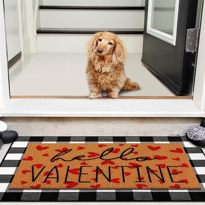 Tinideya 2 Pcs Valentine Door Mat Hello February 14th Welcome Non Slip Coir - Image 7