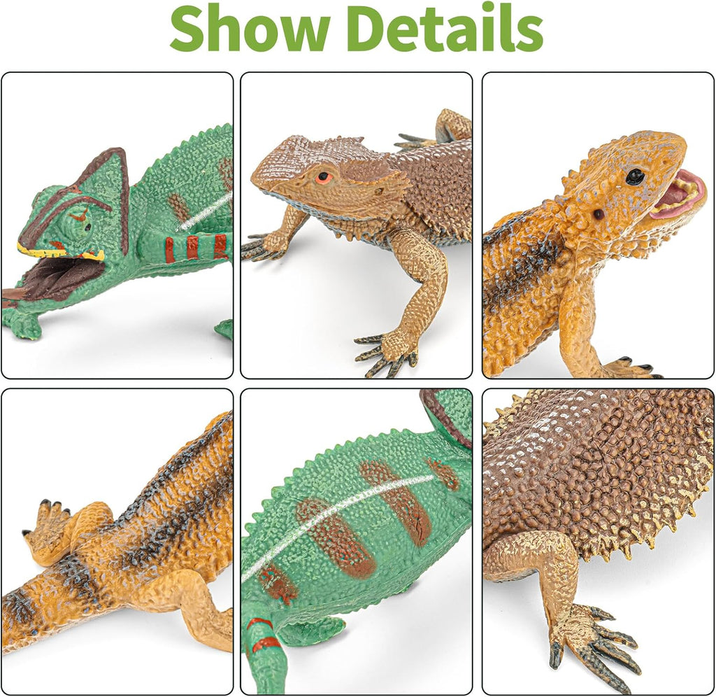 6PCS Large Lizard Figurines Rainforest Animal Toys, Realistic Plastic Reptile Animal Figurines, Includes Bearded Dragon,Fire Salamander,Chameleons,Coast Horned Lizard Toys, STEM Toy for Kids