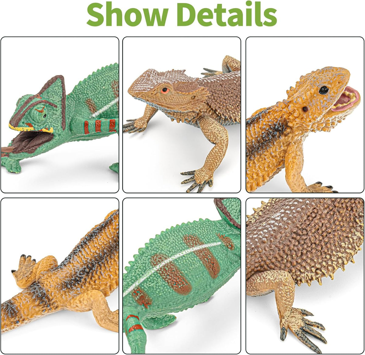 6PCS Large Lizard Figurines Rainforest Animal Toys, Realistic Plastic Reptile Animal Figurines, Includes Bearded Dragon,Fire Salamander,Chameleons,Coast Horned Lizard Toys, STEM Toy for Kids