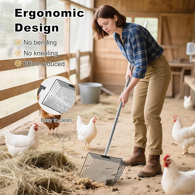 Chicken Poop Scooper & Rake 2-in-1, 304 Stainless Steel Shovel Head, Chicken - Image 5