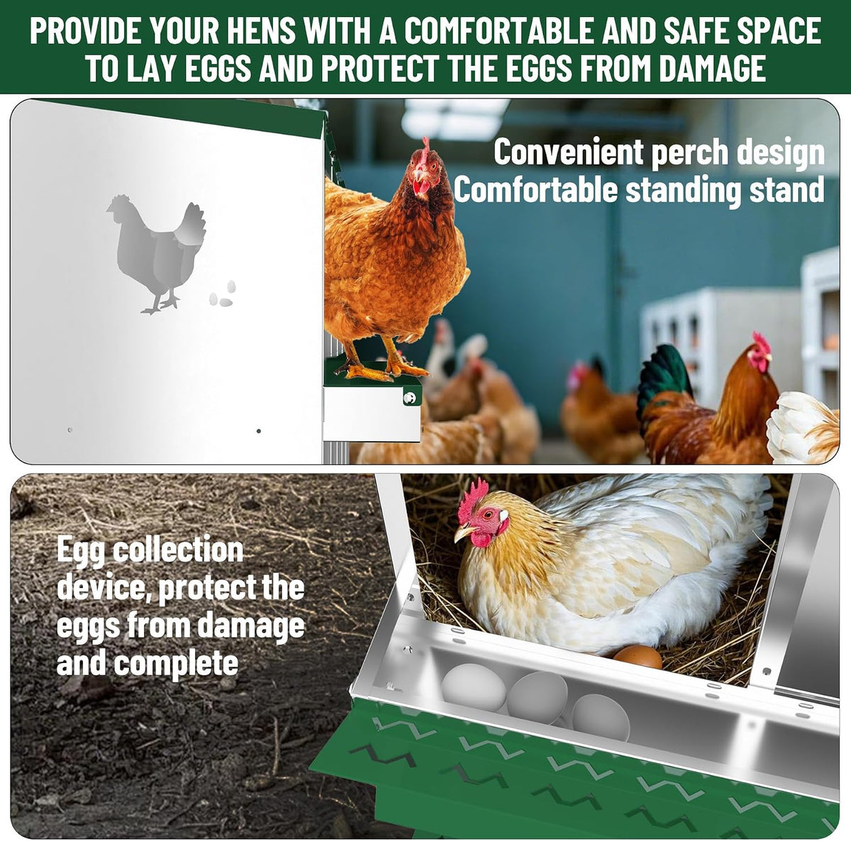 Chicken Nesting Boxes, 10 Compartments Nesting Boxes, Metal Chicken Laying Box with Roll Out Egg Collection with Vented Holes for Hens, Green