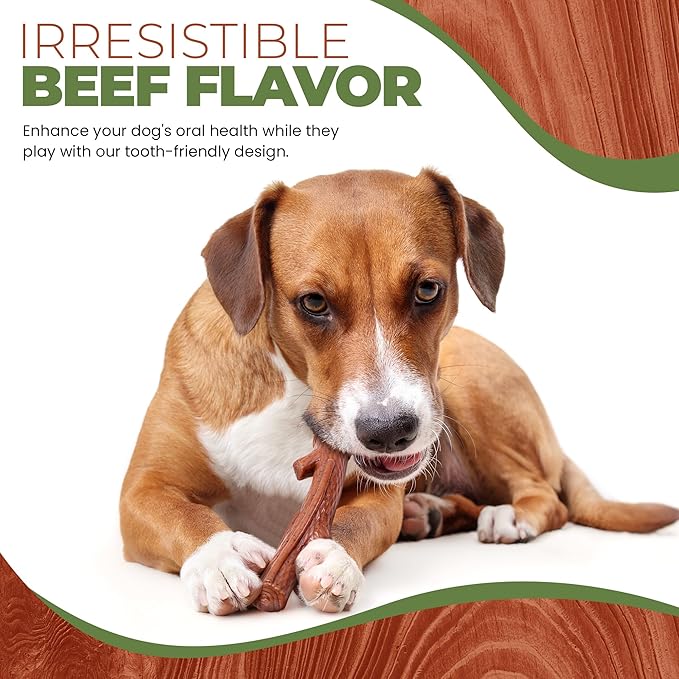 SPOT Bam-Bones Plus Branch -Bamboo Fiber & Nylon, Durable Long Lasting Dog Chew - Image 7