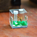 Jumping Spider Micro Enclosure Accessories Set, 2” Acrylic Mini Habitat with Mountain Lake Shaped Integrated Feeding-Watering Container, Modern Landscape Terrarium for Small Insects